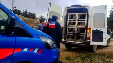 Kırıkkale'de Yasa Dışı Köpek Dövüşü Baskını: 12 Bin 850 TL Ceza